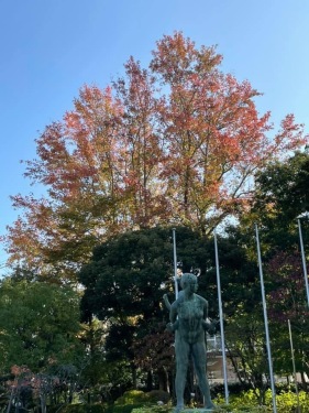 秋の進学相談会終わりました！