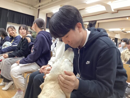 「ドッグセラピー体験」