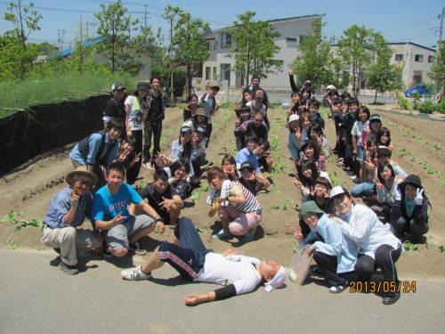毎年恒例！ 芋の苗植え♪