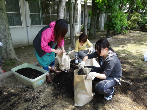 『サツマイモの苗植え♪』