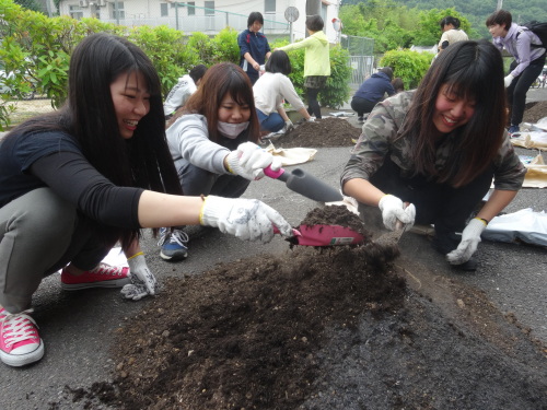 サツマイモの苗植え♪
