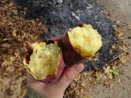 焼き芋♪